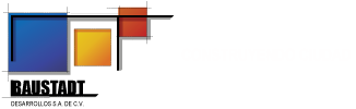 Footer Logo
